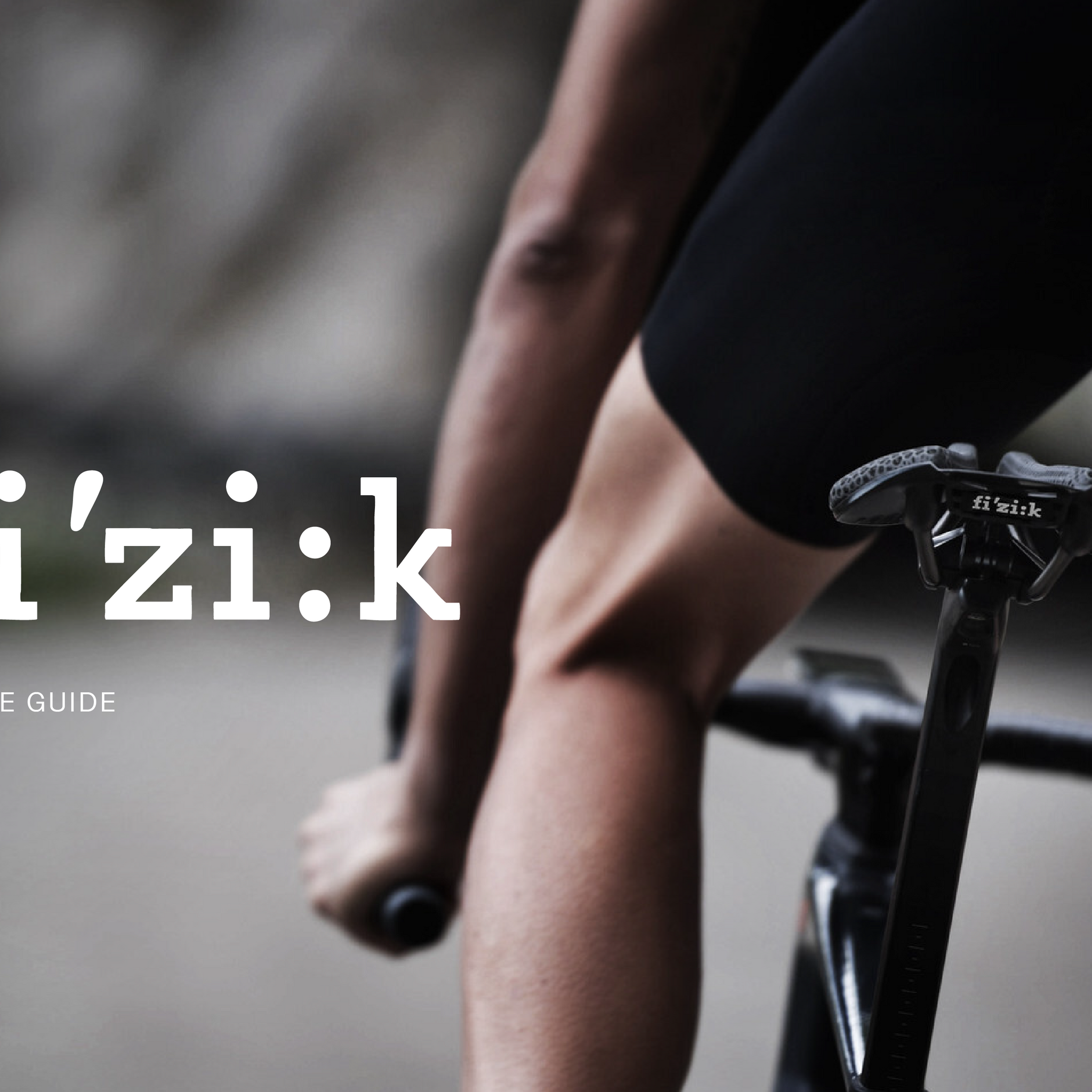 Fizik Saddle Buyer's Guide